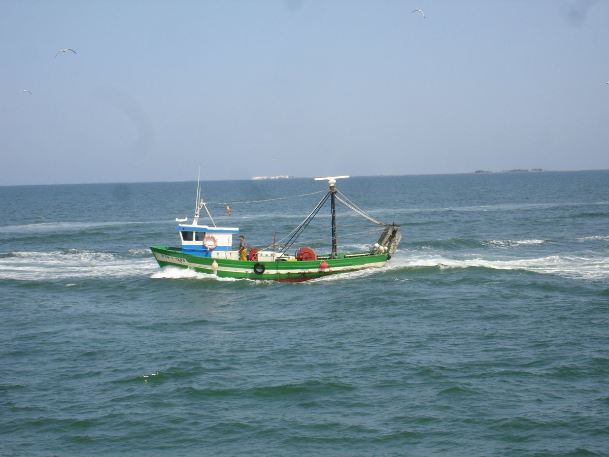 Imagen de Capitol 5 - 1990